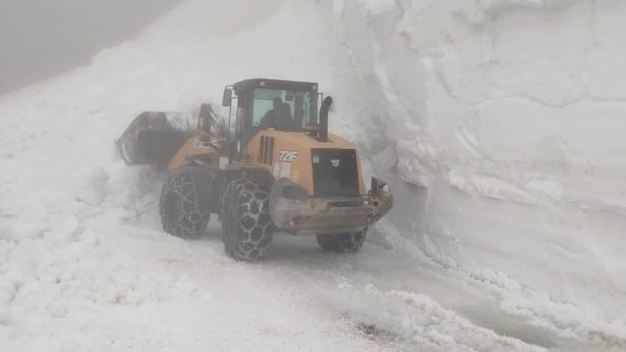 Yaz geldi ama kar bitmedi! Artvin yaylalarında zorlu mesai