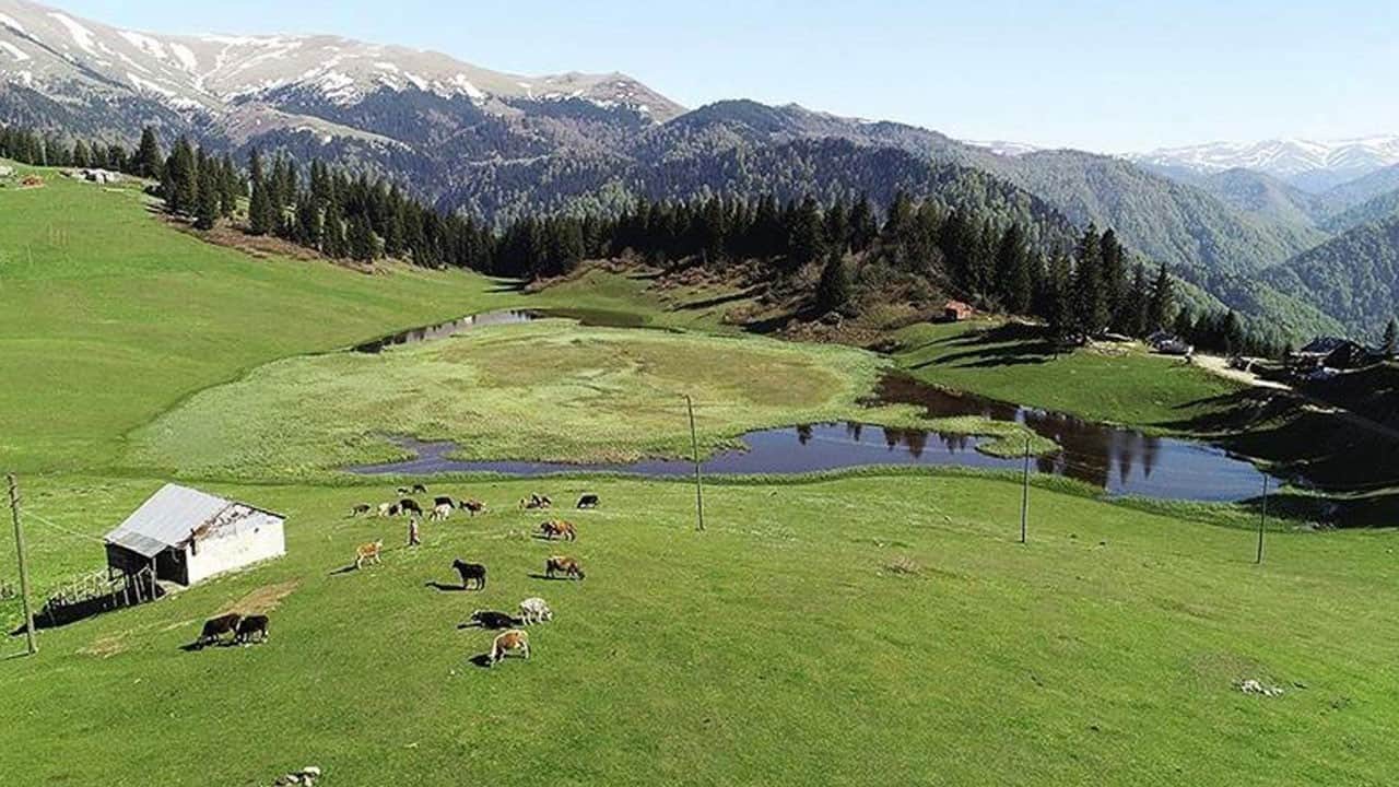 Yaz tatili planlayanlar dikkat! Yayla havası herkese şifa değil