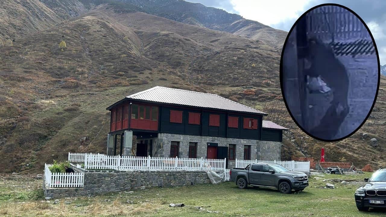 YÖK'ten lisans eğitimi açıklaması