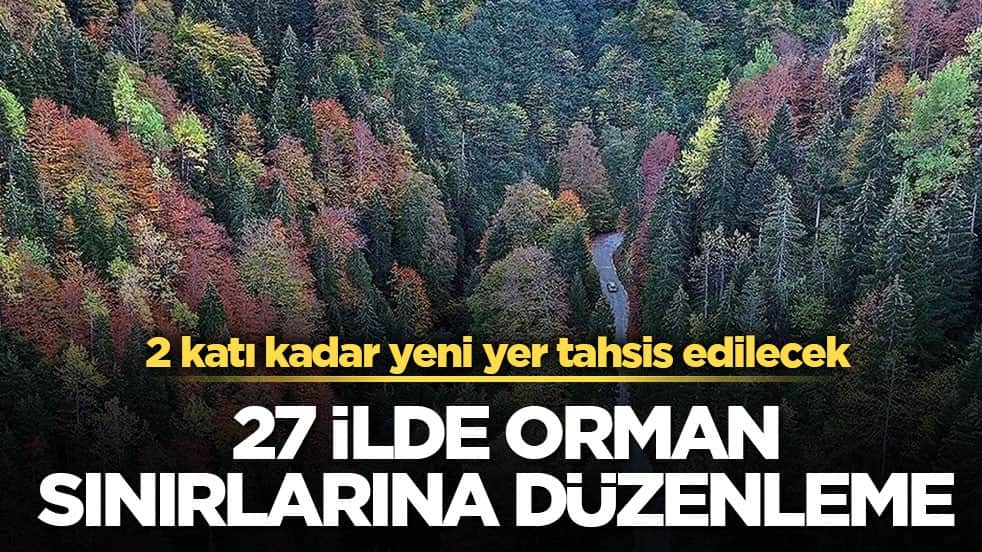 2 katı kadar yeni yer tahsis edilecek! 27 ilde orman sınırlarına düzenleme
