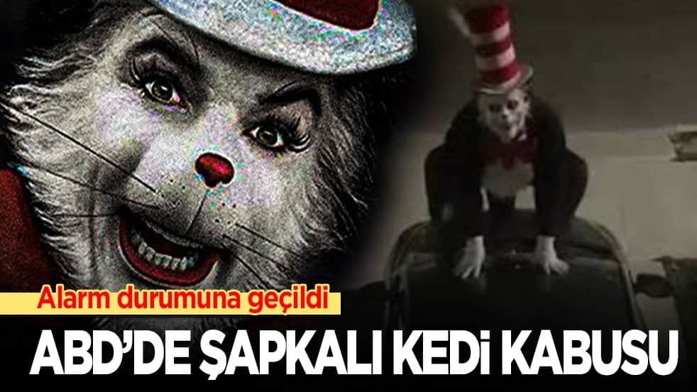 ABD’de Şapkalı Kedi kabusu: Alarm durumuna geçildi
