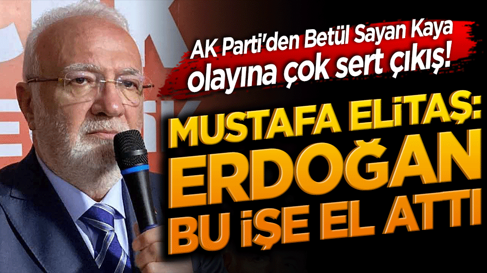 AK Parti'den Betül Sayan Kaya olayına çok sert çıkış! Mustafa Elitaş Erdoğan bu işe el attı dedi