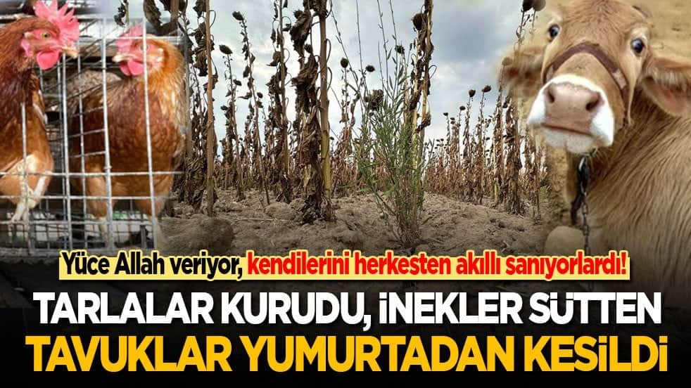 Allah veriyor, kendilerini herkesten akıllı sanıyorlardı! Tarlalar kurudu, inekler sütten tavuklar yumurtadan kesildi