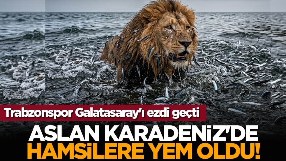 Aslan Karadeniz'de hamsilere yem oldu! Trabzonspor Galatasaray'ı ezdi geçti