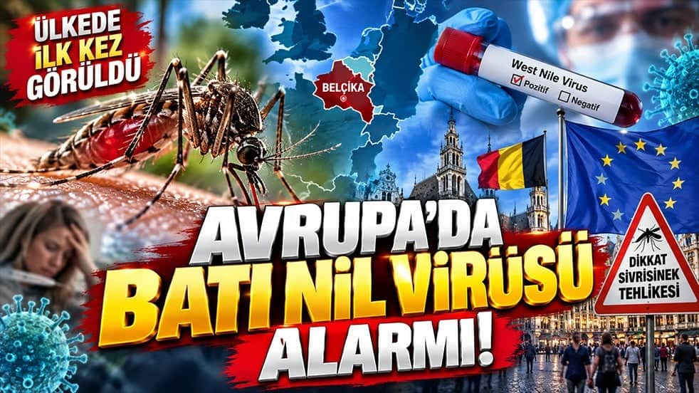 Avrupa’da Batı Nil virüsü alarmı! Belçika’da ilk kez görüldü