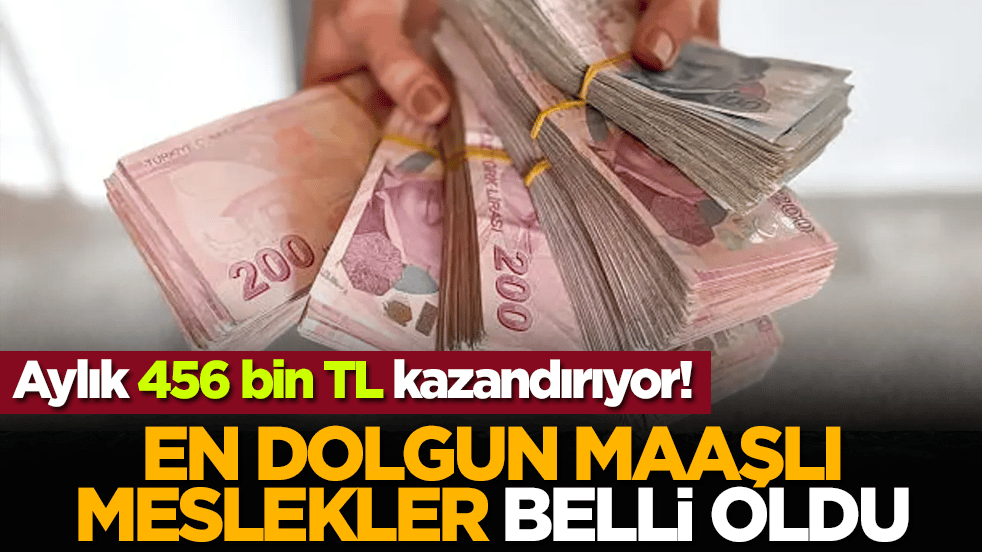 Aylık 456 bin TL kazandırıyor: En dolgun maaşlı meslekler belli oldu