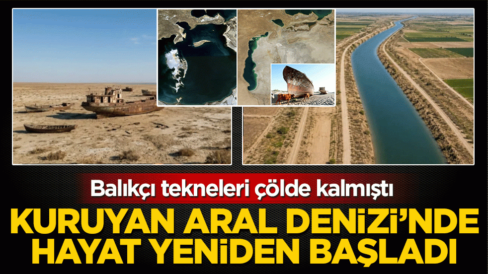 Balıkçı tekneleri çölde kalmıştı: Kuruyan Aral Denizi'nde hayat yeniden başladı