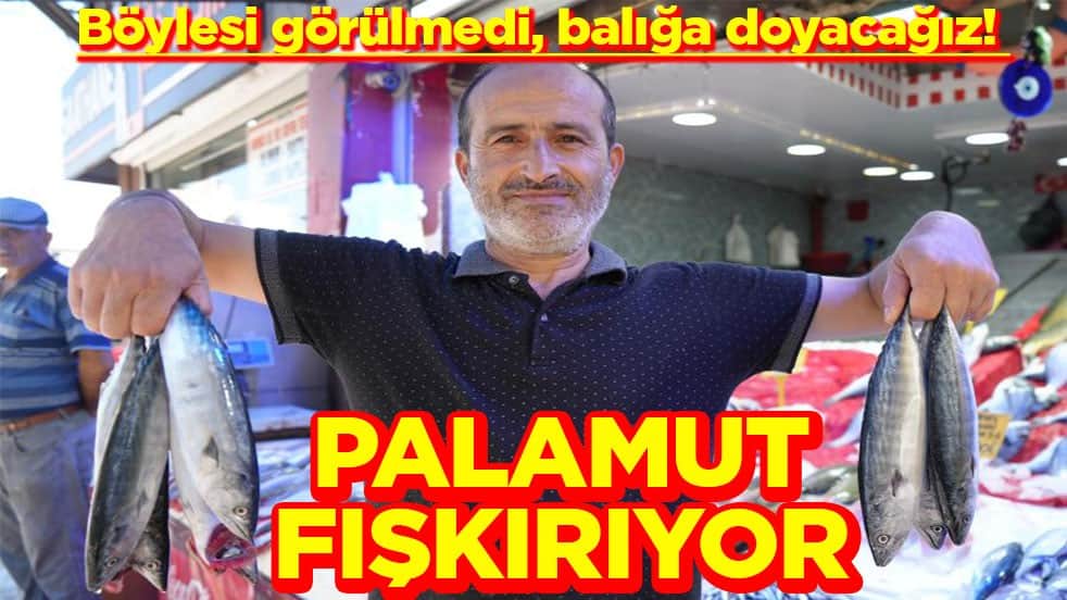 Böylesi görülmedi, balığa doyacağız! Palamut fışkırıyor