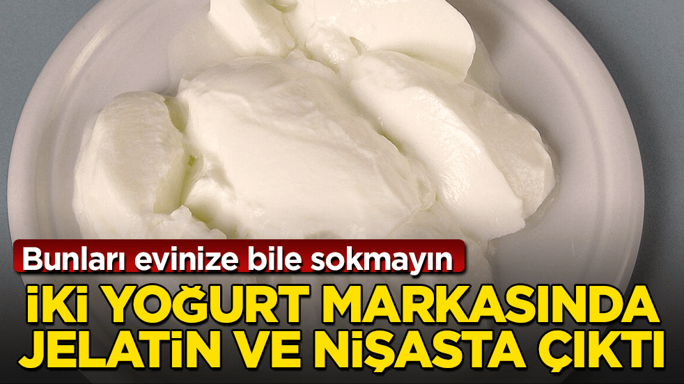 Bunları evinize bile sokmayın! İki yoğurt markasında jelatin ve nişasta çıktı