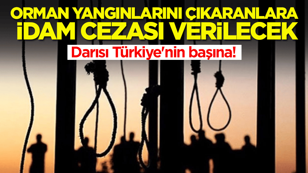 Darısı Türkiye'nin başına: Orman yangınlarını çıkaranlara idam cezası verilecek