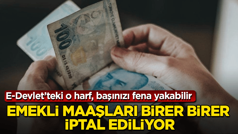 E-Devlet’teki o harf, başınızı fena yakabilir! Emekli maaşları birer birer iptal ediliyor