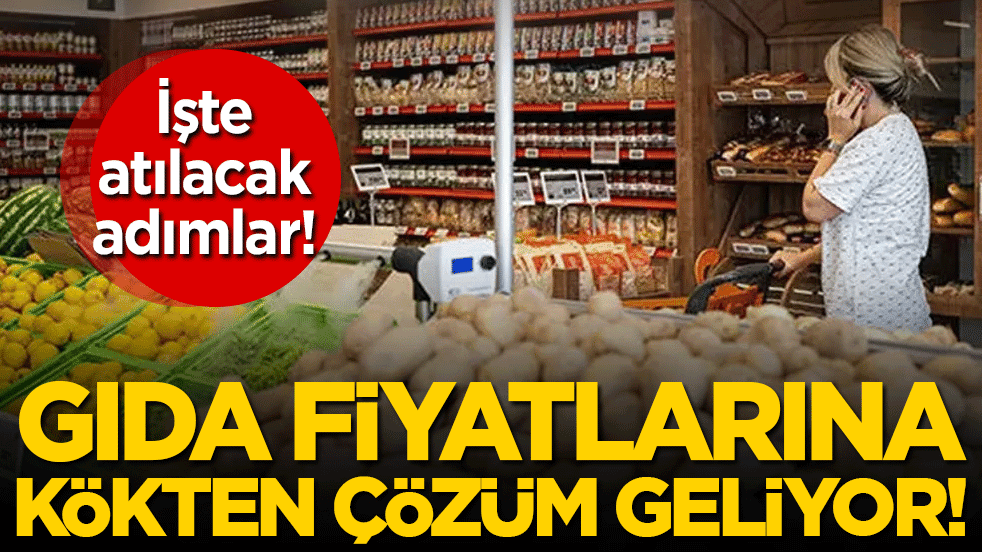 Gıda fiyatlarına kökten çözüm geliyor! İşte atılacak adımlar