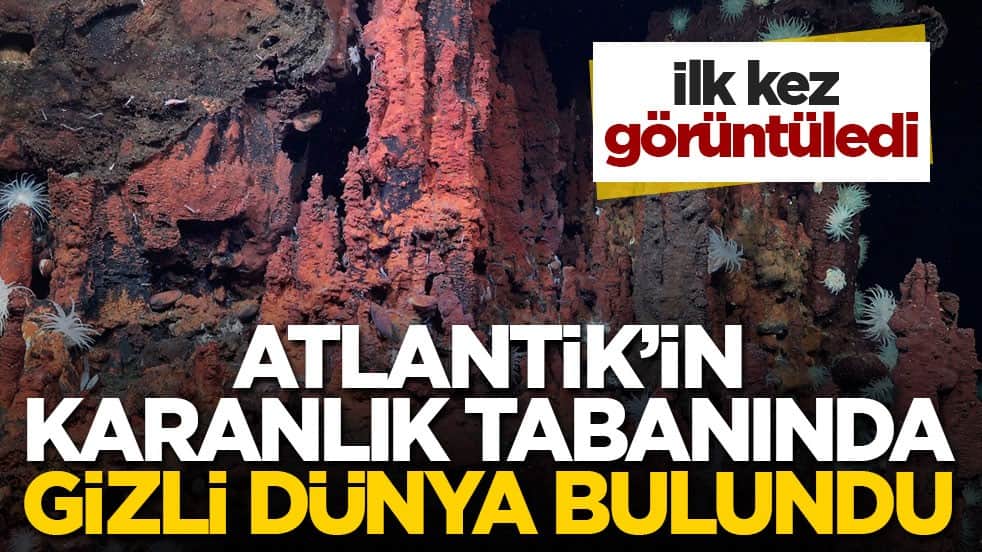 İlk kez görüntüledi! Atlantik’in karanlık tabanında gizli dünya bulundu
