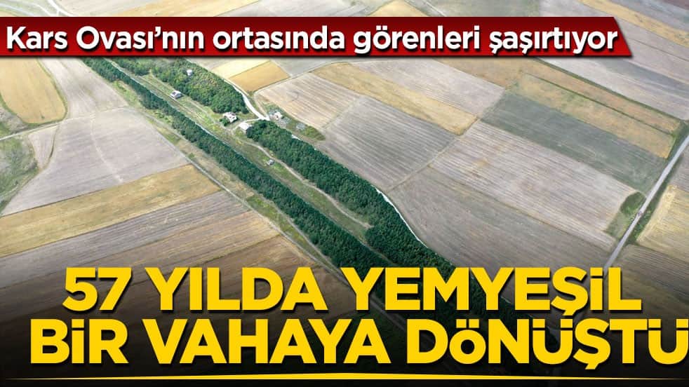 Kars Ovası’nın ortasında görenleri şaşırtıyor! 57 yılda yemyeşil bir vahaya dönüştü