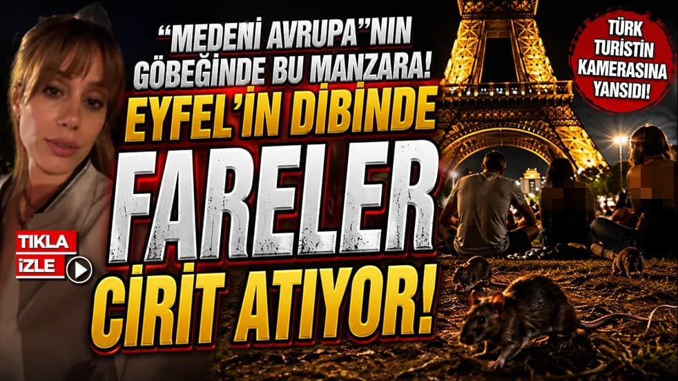"Medeni Avrupa"nın göbeğinde bu manzara! Eyfel’in dibinde fareler cirit atıyor