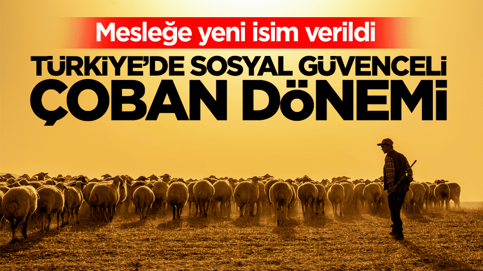 Mesleğe yeni isim verildi! Türkiye’de sosyal güvenceli çoban dönemi