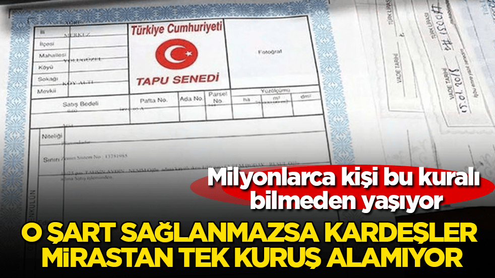 Milyonlarca kişi bu kuralı bilmeden yaşıyor! O şart sağlanmazsa kardeşler mirastan tek kuruş alamıyor