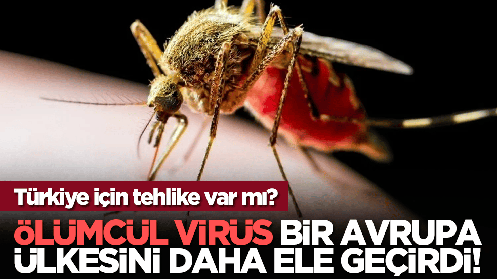 Ölümcül virüs bir Avrupa ülkesini daha ele geçirdi! Türkiye için tehlike var mı?