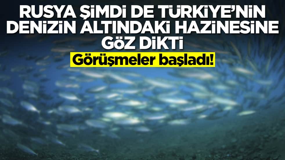 Rusya şimdi de Türkiye'nin denizin altındaki hazinesine göz dikti: Görüşmeler başladı