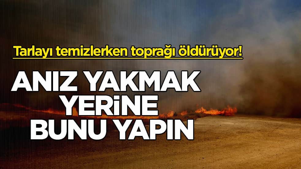 Tarlayı temizlerken toprağı öldürüyor! Anız yakmak yerine bunu yapın