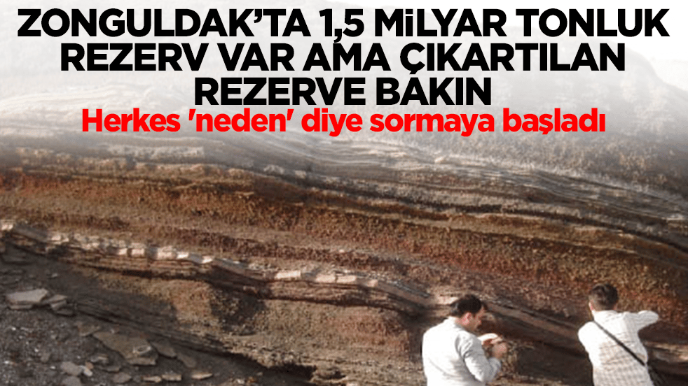 Zonguldak'ta 1.5 milyar tonluk hazine var, çıkartılan rezerve bakın: Herkes 'neden' diye sormaya başladı