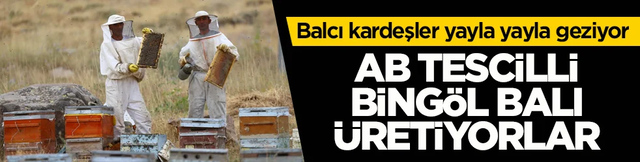 Balcı kardeşler yayla yayla geziyor! AB tescilli Bingöl balı üretiyorlar