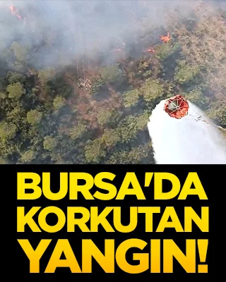 Bursa'da korkutan yangın!