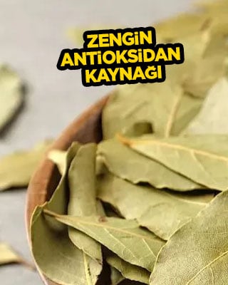 Defne yaprağı: Zengin antioksidan kaynağı ama sadece böyle sakın yemeyin!