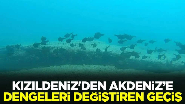 Kızıldeniz'den Akdeniz&rsquo;e dengeleri değiştiren ge&ccedil;iş