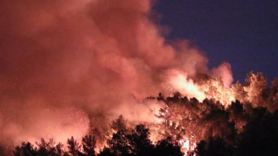 10 ev zarar gördü! Kumluca’da orman yangınıyla mücadele sürüyor