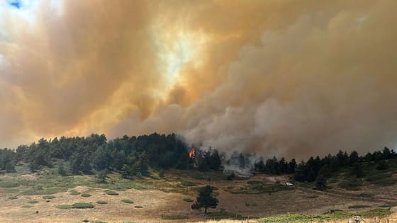 2’si kontrol altına alındı! Ankara’da peş peşe 3 orman yangını