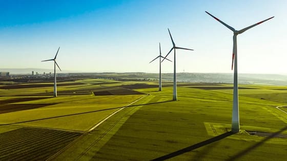 3 yıl içerisinde yatırım ve istihdam artacak: Yatırımcı rüzgar enerjisini sevdi