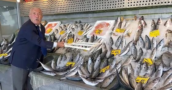 Av yasağı sona erdi, İstanbul'da hamsi 200 lira, palamut 100 liradan başlıyor