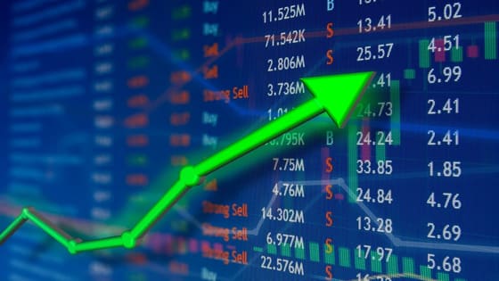 Borsadaki düşüşe bir sektör direndi!