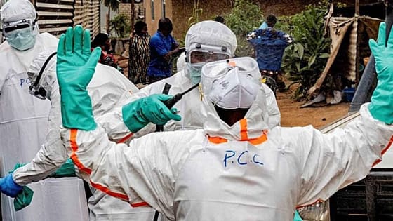 Ebola salgınında acı bilanço: Vaka sayısı 7 bin 200'ü aştı