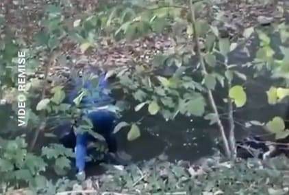 Gezi zekalılar iyi izlesin! Fransız polisinden liseliyi boğma girişimi