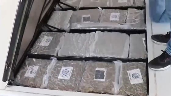 Gümrük Muhafaza ekipleri göz açtırmıyor: 387 kilo skunk ele geçirildi