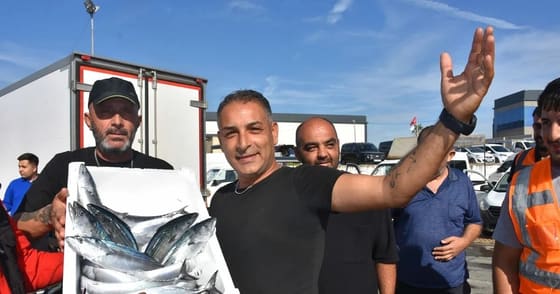 İzmir'de balık bolluğu fiyatları düşürdü; palamut halde 60, tezgahta 100-150 TL