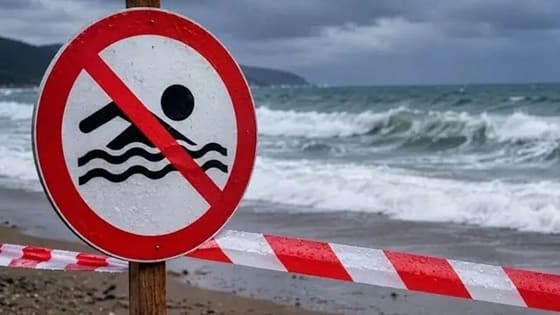 Karadeniz’de tehlike alarmı! Zonguldak’ta da yasaklandı
