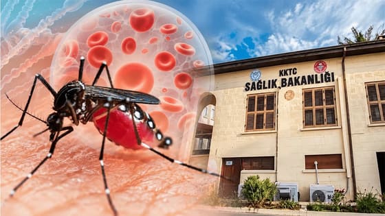 KKTC'de Biri rutin kontrolde 3 Batı Nil virüsü tespit edildi