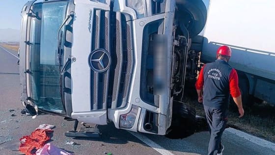 Korku dolu anlar! Yola çıkan eşeğe çarpmamak için manevra yaptı