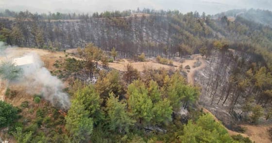 Kozan'daki orman yangınına 3 uçak, 9 helikopter ve 476 personelle müdahale sürüyor