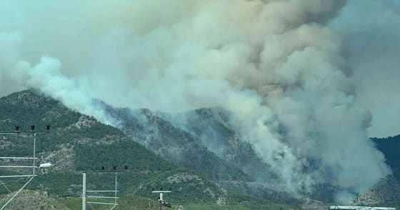 Mersin Bozyazı'da sera alanından ormana yayılan yangına havadan ve karadan müdahale
