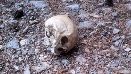 Mevlide giderken kaybolmuştu! 15 ay sonra ormanda izine rastlandı