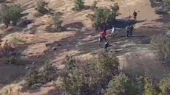 Şırnak’ta orman yangını paniği: Ekipler seferber oldu