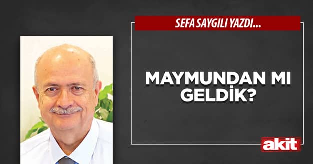 Maymundan mı geldik?