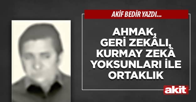 Ahmak, geri zekâlı, kurmay zekâ yoksunları ile ortaklık
