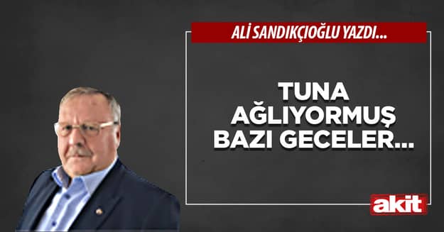 Tuna ağlıyormuş bazı geceler…