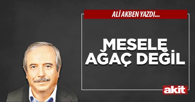 Mesele ağaç değil