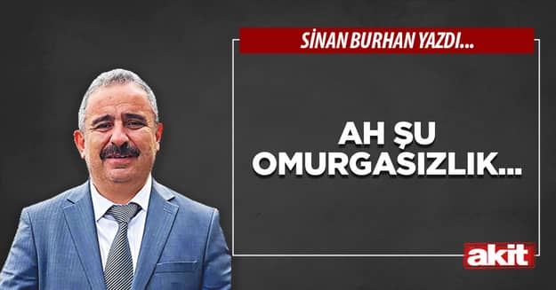 Ah şu omurgasızlık...
